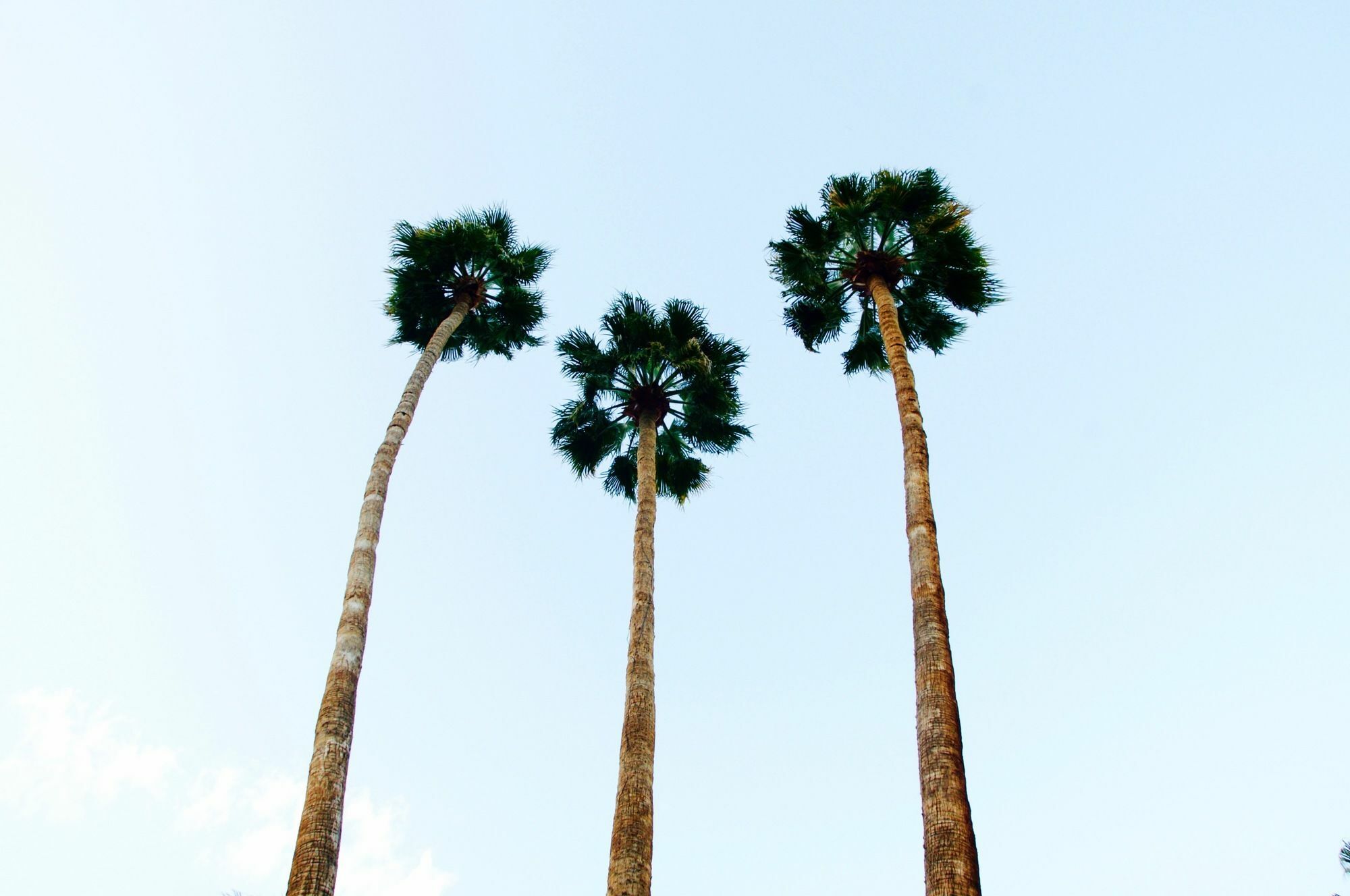 Delos Reyes Palm Springs Motel Exterior photo