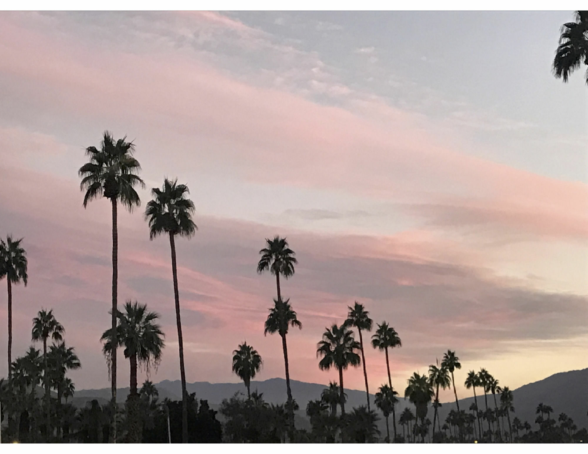 Delos Reyes Palm Springs Motel Exterior photo