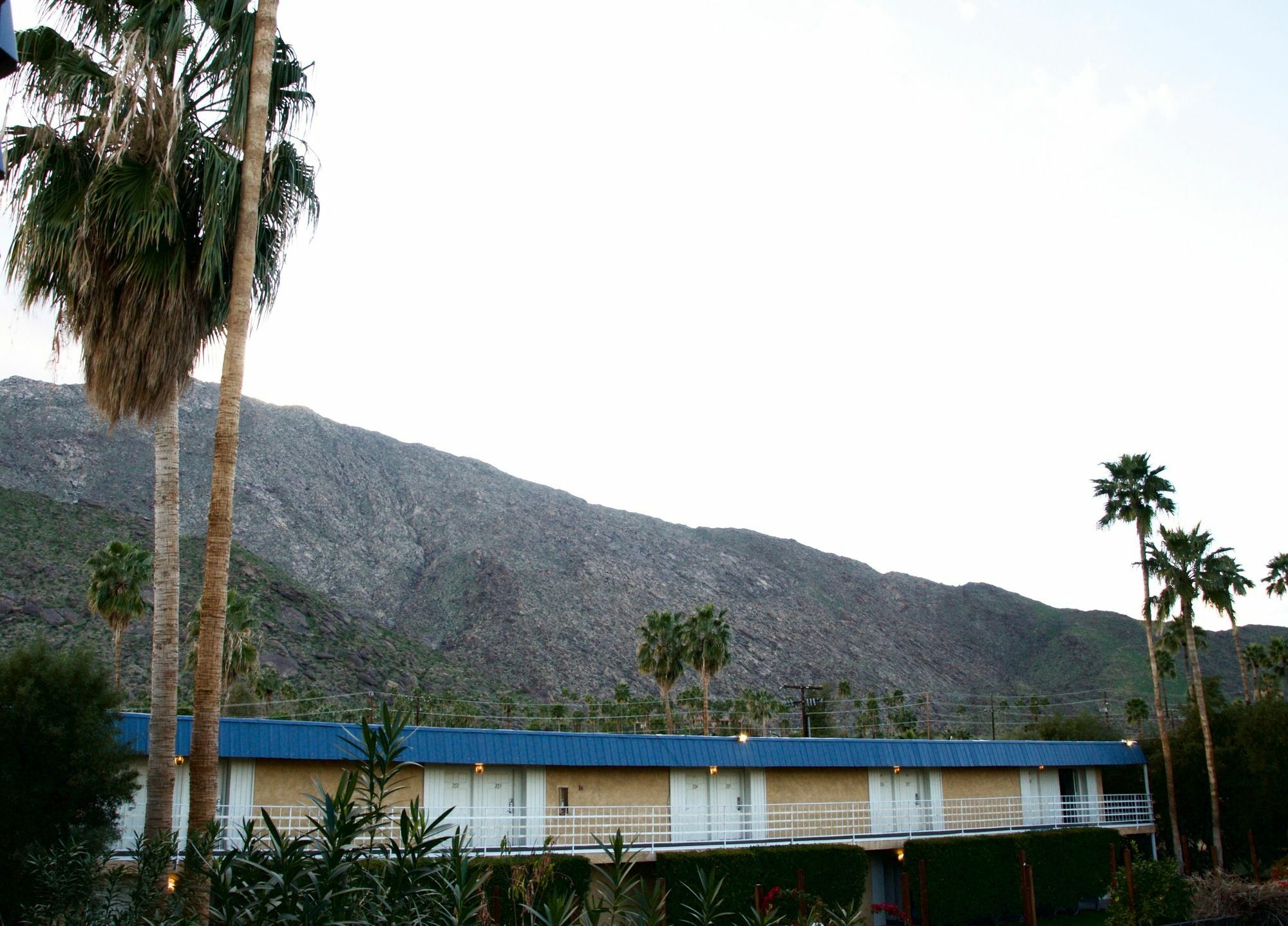 Delos Reyes Palm Springs Motel Exterior photo